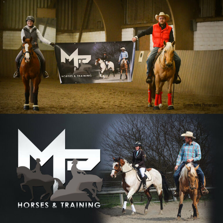 Banner MP Horses and Training