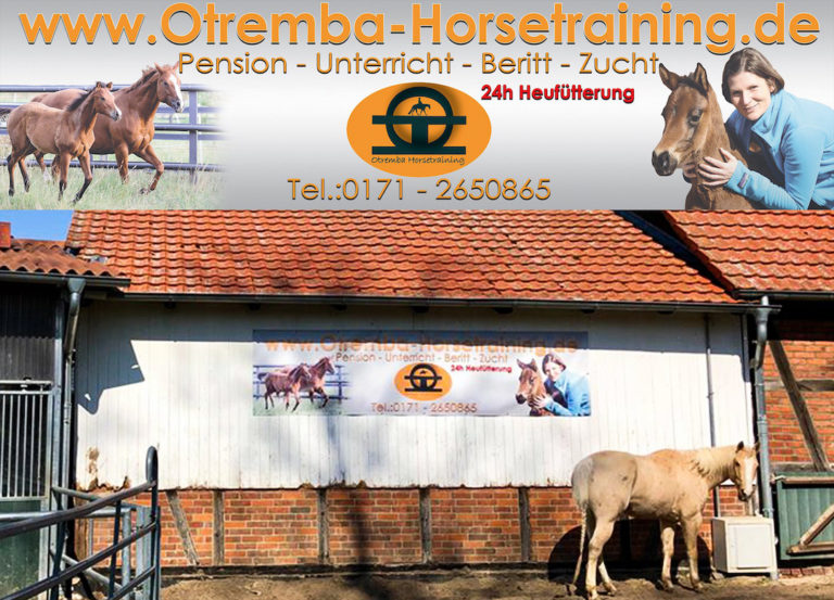 Banner groß Otremba Horsetraining