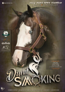 Dunit Smoking Stallion AD 2022
