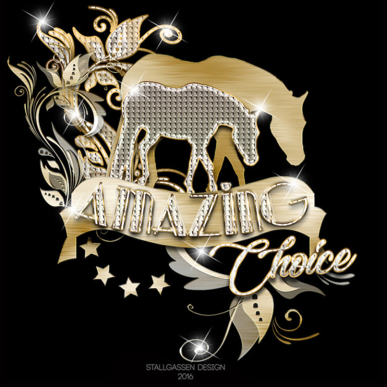 Logo Amazing Choice