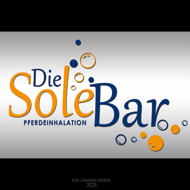 Logo Die Sole Bar