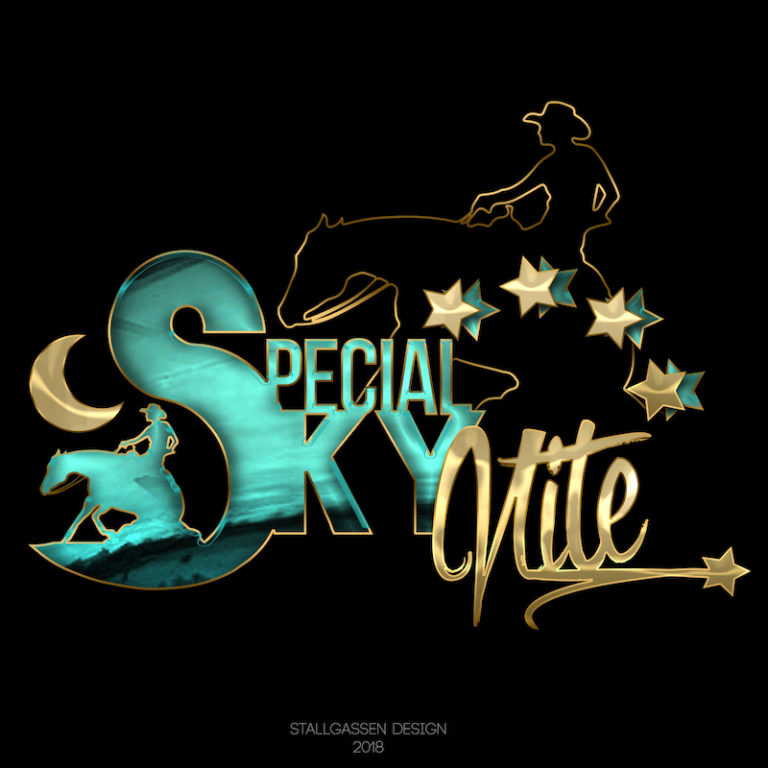 Logo Special_Sky_Nite