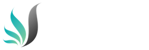 Webdesign by WebSolutionsToGo