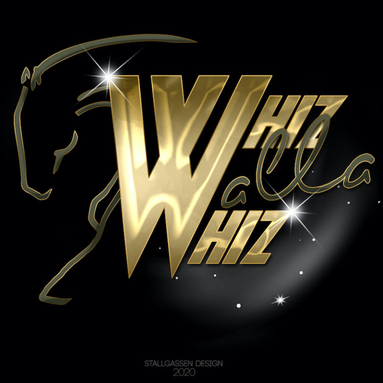 Logo Whiz Walla Whiz