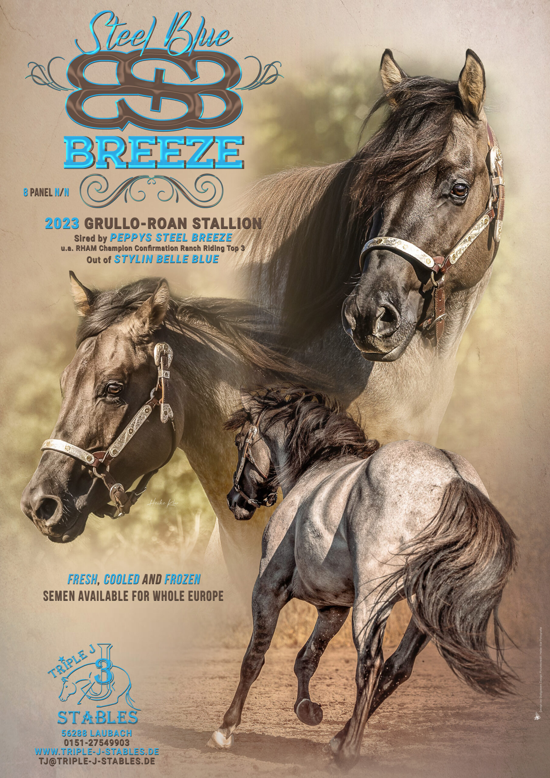 Stallion AD Steel Blue Breeze