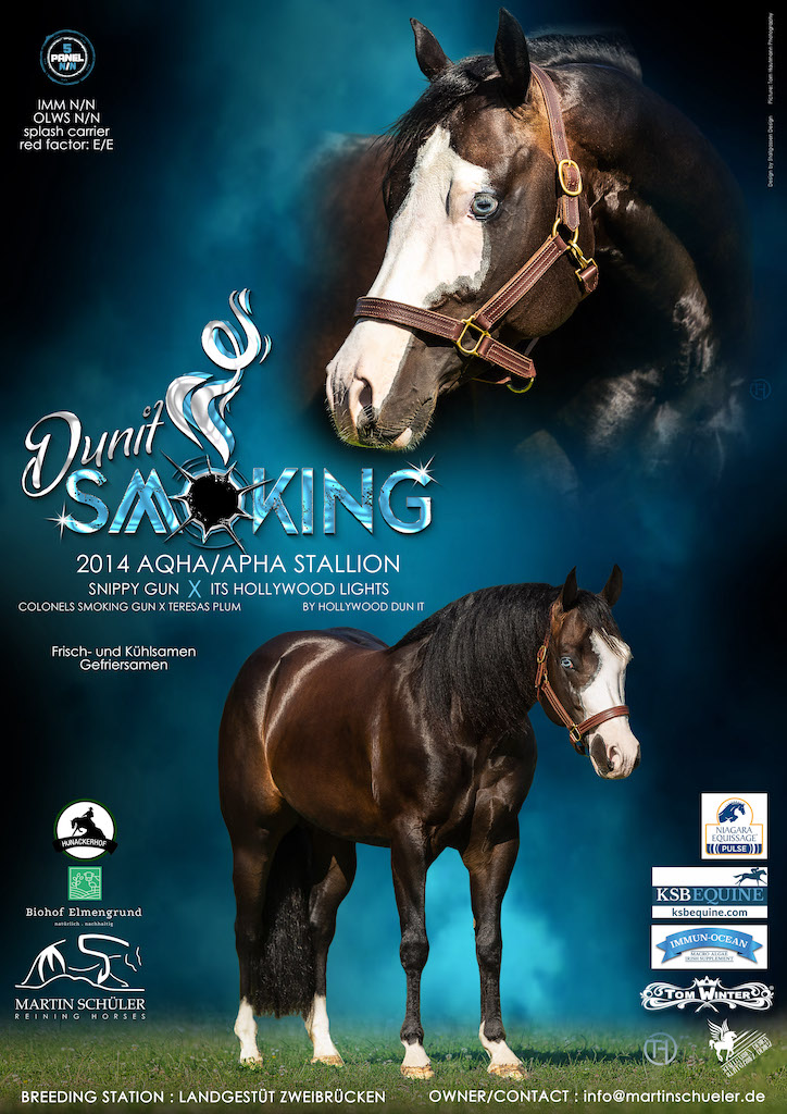 Stallion AD Dunit Smoking